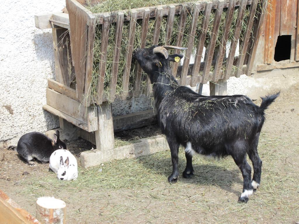 Fertinghof Villa Wildschoenau Luaran gambar